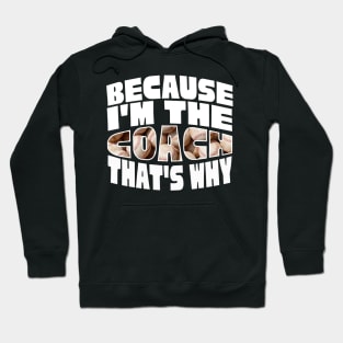 Because I'm The Baseball Coach Hoodie